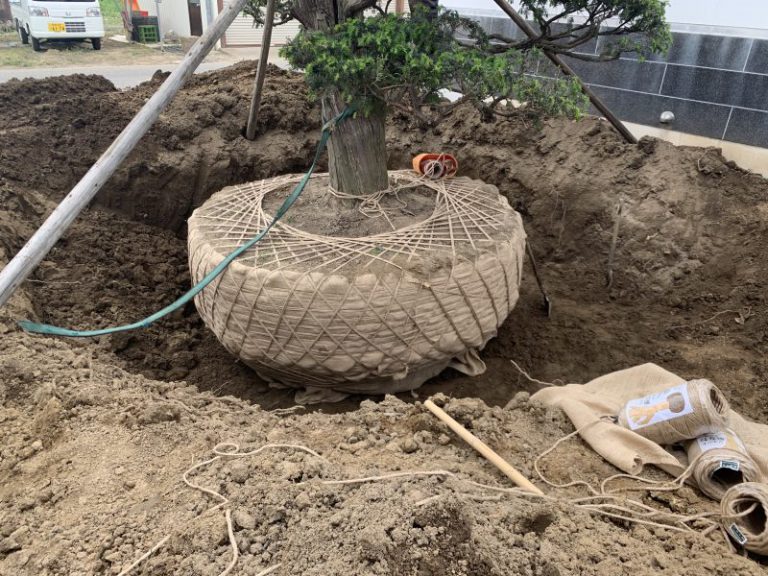 移植 | 長野市でお庭のことなら塚田造園